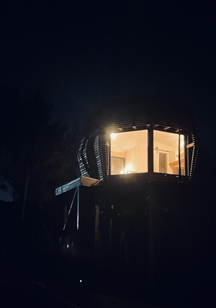 Treehouse Night